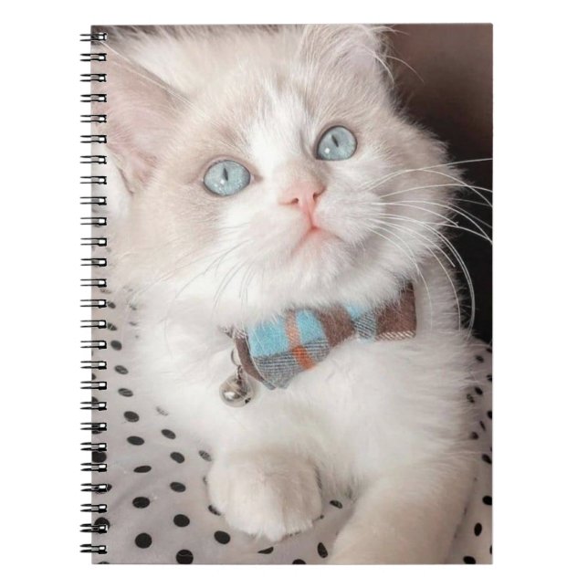 Caderno Espiral meu notebook de gato (Frente)
