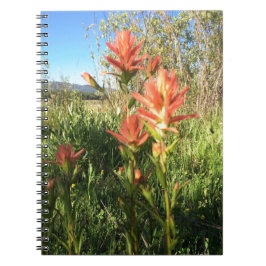 Caderno Espiral Meu pincel dos diabos