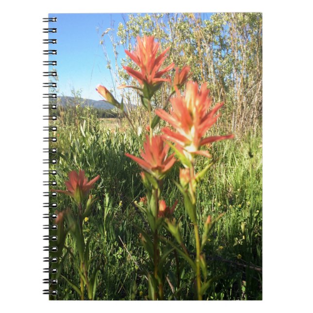 Caderno Espiral Meu pincel dos diabos (Frente)