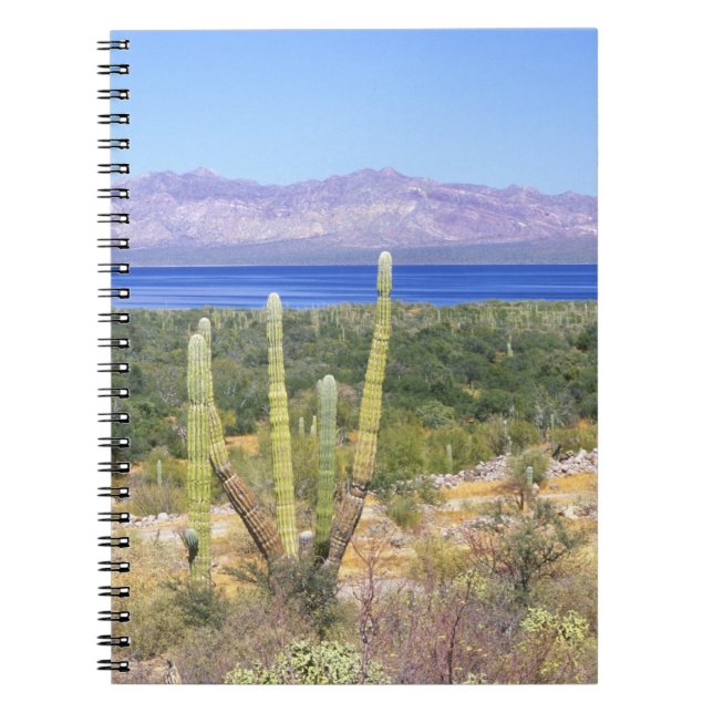 Caderno Espiral México, Baja California Sur, Cardon Cactus em (Frente)