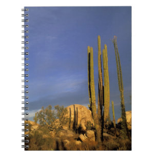 Caderno Espiral México, Baja del Norte, Centro Nacional do Desert