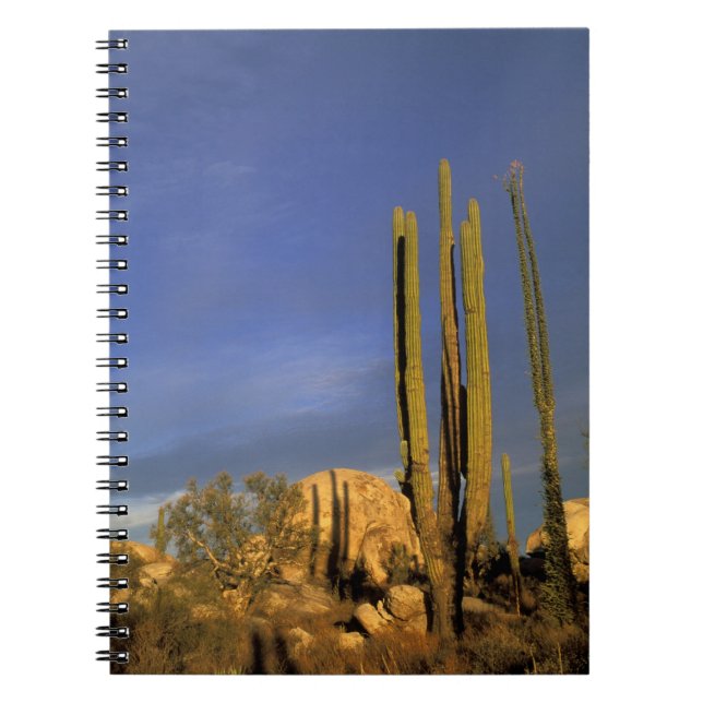 Caderno Espiral México, Baja del Norte, Centro Nacional do Deserto (Frente)