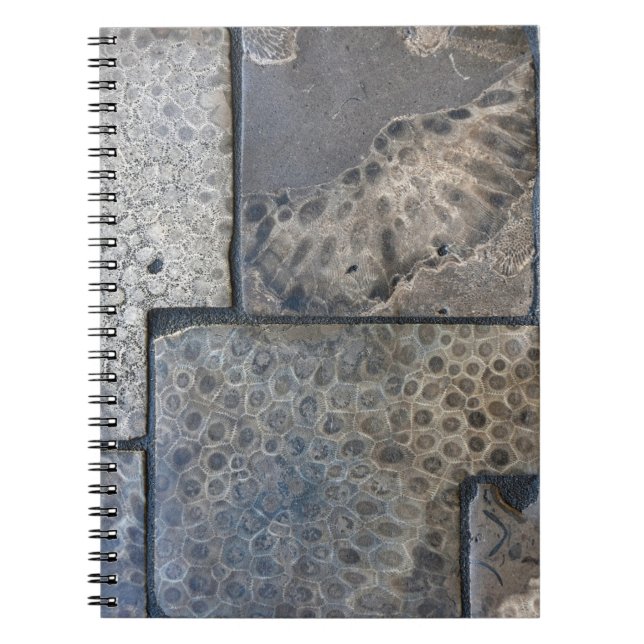 Caderno Espiral Michigan Petoskey Stone (Frente)