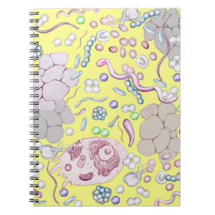 Caderno Espiral Microbiologia Em Amarelo