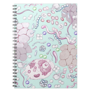 Caderno Espiral Microbiologia no azul