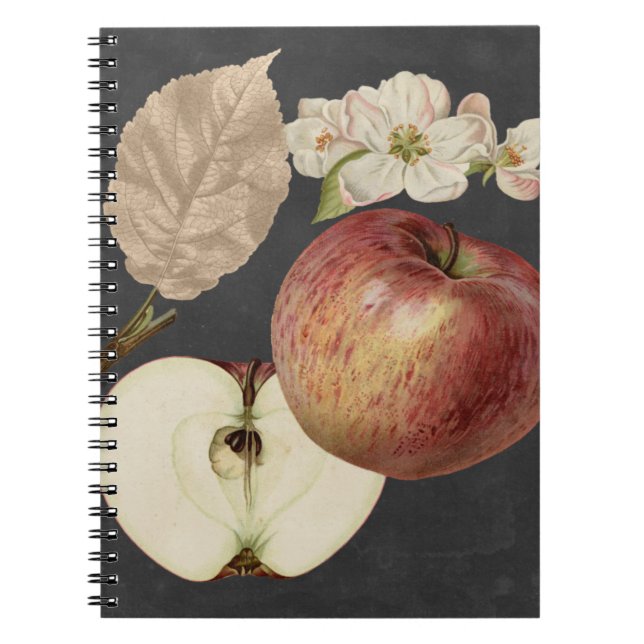 Caderno Espiral Midnight Harvest II (Frente)