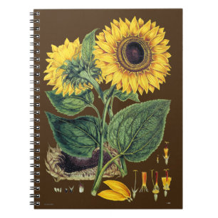 Caderno Espiral Miller: Girassol