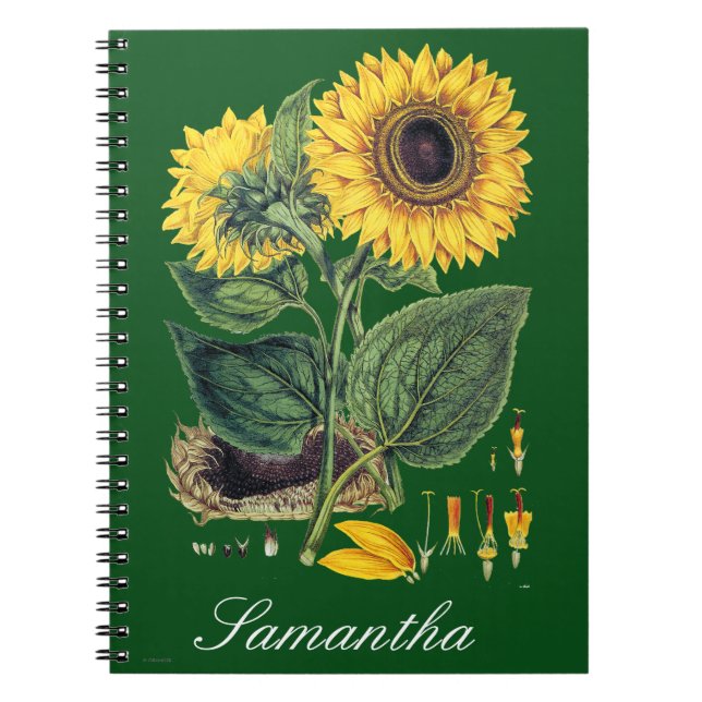 Caderno Espiral Miller: Girassol (Frente)