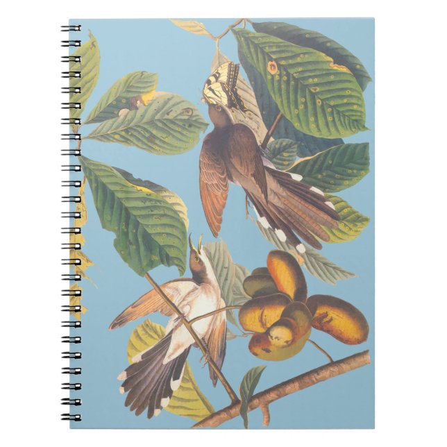 Caderno Espiral Miniárea de transferência Cuckoo Yellow Faturada A (Frente)