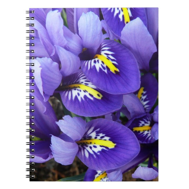 Caderno Espiral Miniatura Azul Levanta Primavera Floral (Frente)