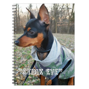 Caderno Espiral MInPin de Olho