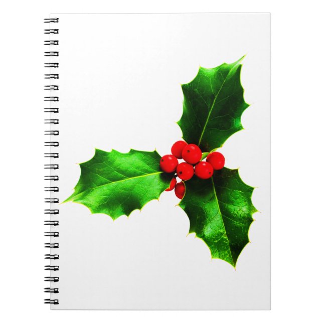 Caderno Espiral Mistletoe (Frente)