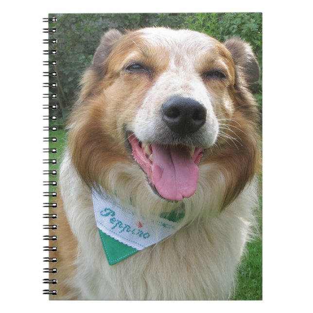 Caderno Espiral mistura de collie de borda (Frente)