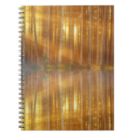Caderno Espiral Misty Forest Scene