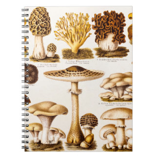 Caderno Espiral Modelo da variedade do cogumelo dos 1800s do