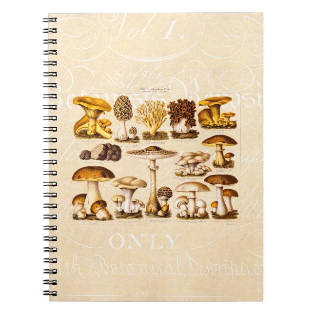 Caderno Espiral Modelo dos cogumelos da variedade do cogumelo dos (Frente)