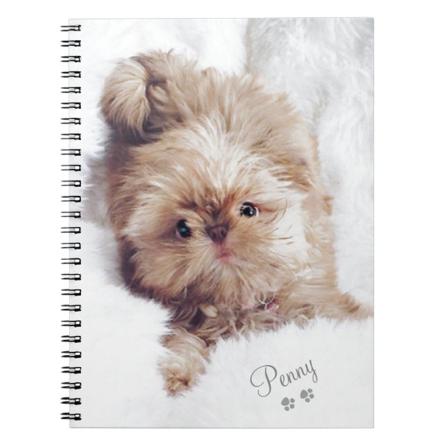Caderno Espiral Moeda de um centavo o fígado alaranjado Shih Tzu (Frente)