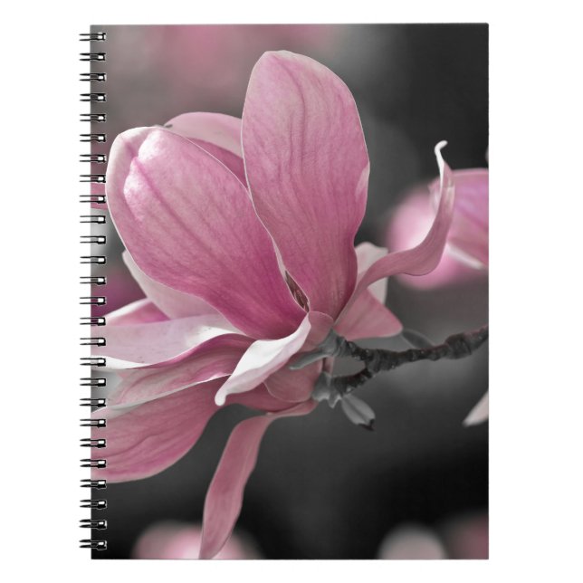 Caderno Espiral Molho Rosa Japonês Magnolia (Frente)