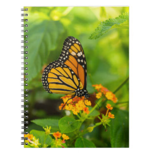 Caderno Espiral Monarca no Lantana