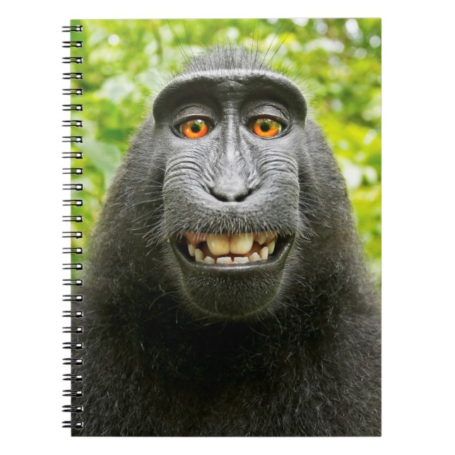 Caderno Espiral Monkey Selfie (Frente)