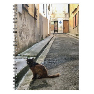 Caderno Espiral Montauk Salvage Co. / O Gato Francês