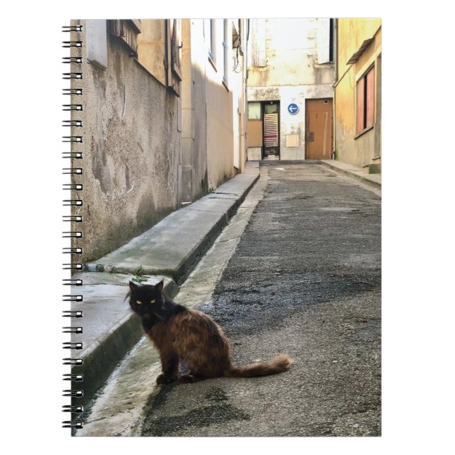 Caderno Espiral Montauk Salvage Co. / O Gato Francês (Frente)