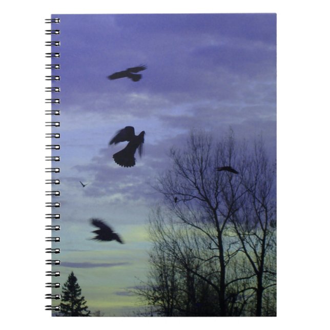 Caderno Espiral Moody Blue Crows Sky (Frente)