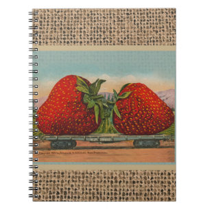 Caderno Espiral Morangos Giant Antiguidade Diversão da Fruta