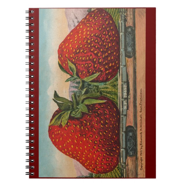 Caderno Espiral Morangos Gigante Antigo Fruta Diversão (Frente)