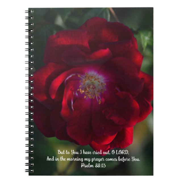 Caderno Espiral Morning Red Rose Bible Verse Prayer Journal (Frente)