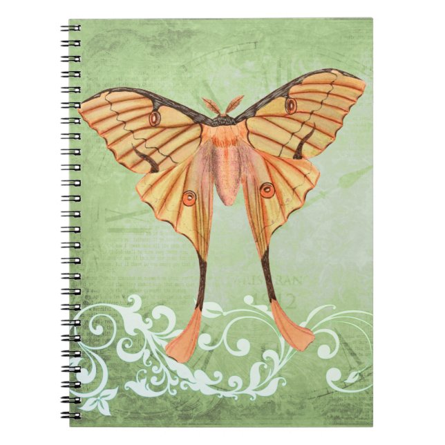 Caderno Espiral Moth da Seda Africana (Frente)