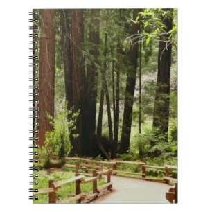 Caderno Espiral Muir Woods Path I Nature Photoics