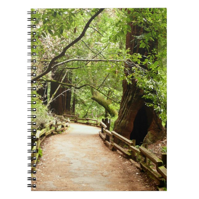 Caderno Espiral Muir Woods Path II - Fotografia natural (Frente)
