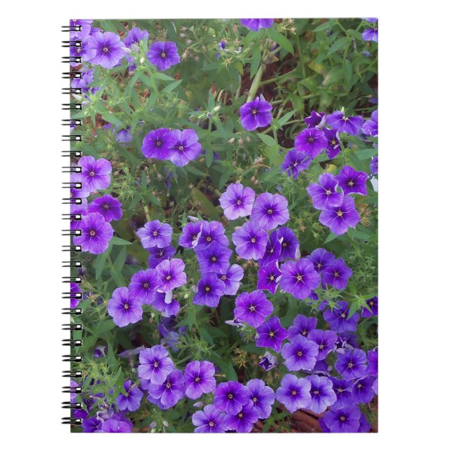 Caderno Espiral Muitas flores de phiox roxo escuro (Frente)