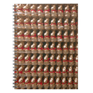 Caderno Espiral Muito figurino de coelho