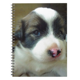 Caderno Espiral Muito Jovem Cachorro Parecido Bonito