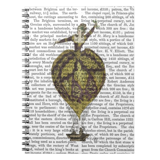 Caderno Espiral Mulher Balão de Ar Quente 1 (Frente)