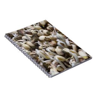 Caderno Espiral Mung The Beans