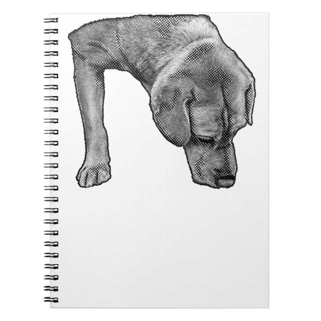 Caderno Espiral Musa Dotada Para Notas (Frente)