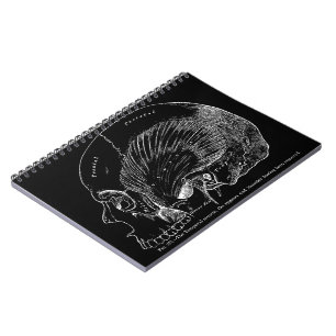 Caderno Espiral Músculo temporal humano do desenho médico do