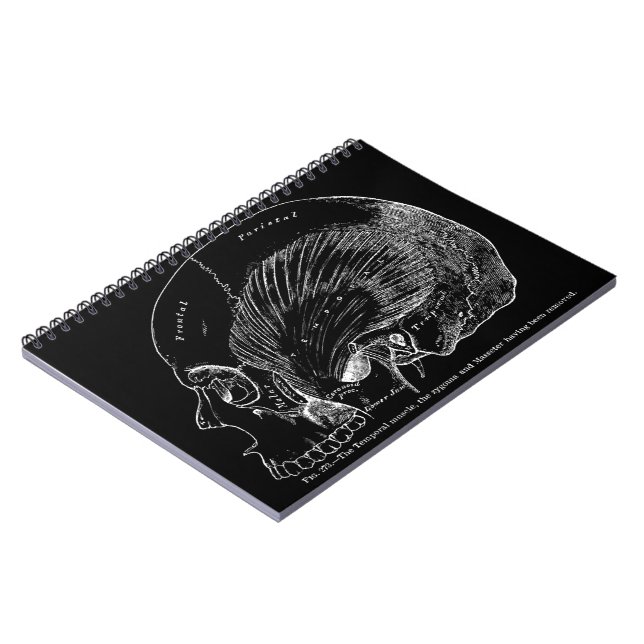 Caderno Espiral Músculo temporal humano do desenho médico do (Left Side)