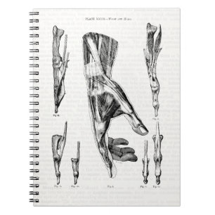 Caderno Espiral Músculos de Arte Médica Antiga da Mão e do Puls