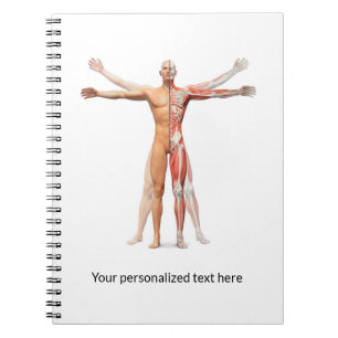 Caderno Espiral Músculos esqueléticos do corpo humano médico - 