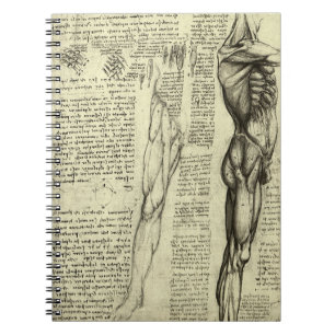 Caderno Espiral Músculos masculinos da anatomia humana por Leonar