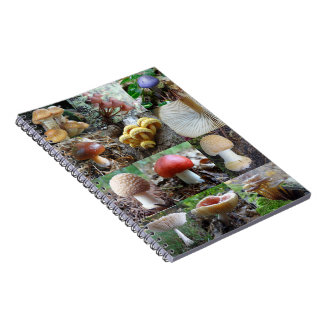 Caderno Espiral MycoJournal