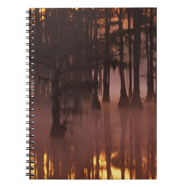 Caderno Espiral N.A., EUA, Geórgia, George Smith State Park. (Frente)