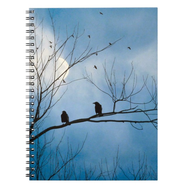 Caderno Espiral Nada Além de Céus Azuis (Frente)
