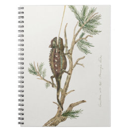 Caderno Espiral Namaqua chameleon Lizard Reptile Gecko