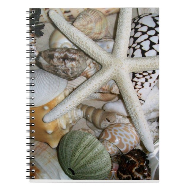 Caderno Espiral Não (Frente)