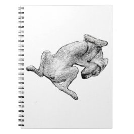 Caderno Espiral Nap Notes – Relaxed Dog Art Notebook